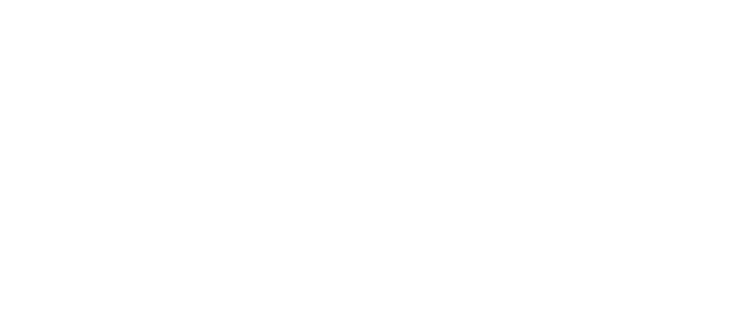 Wildminds - A Global Creative Design Agency